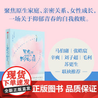 男友说我得了抑郁症 学中文的许小姐 著 文学