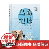 鸟瞰地球 讲述地球的故事 青少版 伊莎贝尔·德拉诺伊 著 科普读物