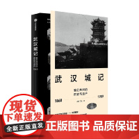 武汉城记 许颖 著 社会科学