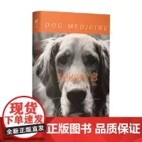 狗狗的疗愈 朱莉·巴顿 著 小说