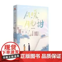 风暖月光甜 金玉颜 著 这个世界有多甜 幼时的冰棍儿 少年时的奶糖 还有长大后的你 小说