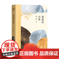 姐姐的丛林 笛安 著 文学