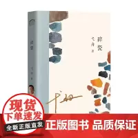 碎瓷 弋舟 著 文学