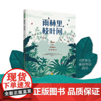 雨林里 枝叶间 3-6岁 凯特·梅斯纳 著 揭秘树冠之上的神奇世界 让孩子从雨林的勃勃生机中涉取向上的生命力量 儿童绘本