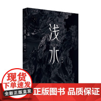 浅水 丁中冶 著 小说