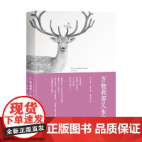 万物刹那又永恒 吉米·哈利 著 文学