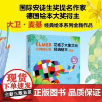 艾玛的礼物 永远的艾玛 花格子大象艾玛经典绘本 全新5册 3-6岁 大卫麦基 著 接纳自我 接受他人 让孩子勇敢做自己