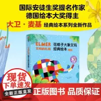 艾玛的礼物 永远的艾玛 花格子大象艾玛经典绘本 全新5册 3-6岁 大卫麦基 著 接纳自我 接受他人 让孩子勇敢做自己