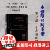 友谊的辩证法 阿多诺 本雅明通信集1928—1940 德 西奥多 阿多诺等 著 不只是一个友谊的故事 哲学