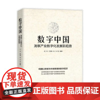 数字中国 洞察产业数字化发展新趋势 何伟等 著 经济