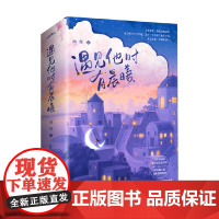 遇见他时有晨曦 南绫 著 著 青春文学