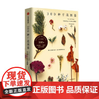 300种干花图鉴 日本主妇与生活社 著 人气干花全图解 长久保存 让时间与浪漫永存 生活美学 家居装饰 DIY