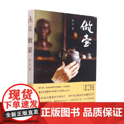 做壶 徐风 著 艺术