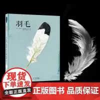 羽毛 7-10岁 布里塔·泰肯徳普 著 从一片轻盈的羽毛开始 深入羽毛世界 探寻鸟类的美和生存智慧 科普百科