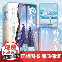 野火 云拿月 著 他是来路 也是归处 青春文学