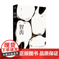 智齿 雷米 著 小说