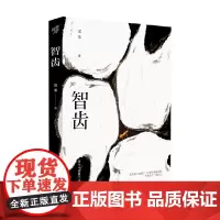 智齿 雷米 著 小说