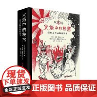 火焰中的秘密 11-14岁 延斯 森特根 著 童书科普