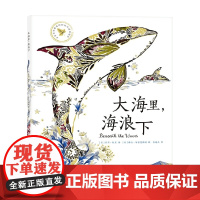 大海里,海浪下 3-6岁 莉莉·默里 著 童书科普