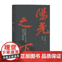 阳光之下 肖仁福 著 中国文学小说