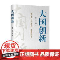 大国创新 陈劲 著 中国创新驱动发展战略重要阶段性著作 探索中国自主创新体系和范式 商业财富