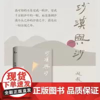 新民说 沙漠与沙 赵毅衡 著 中国当代小说