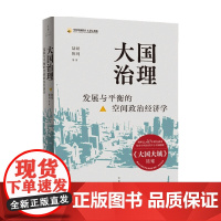 大国治理 发展与平衡的空间政治经济学 陆铭 著 经济
