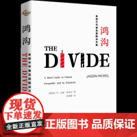 鸿沟 全球不平等及其解决方案