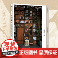 在家森呼吸 干燥植物手册 茹茹萍著 用大地色系自然质朴的干燥植物 打造高级的家居风格 养花书籍 中信书