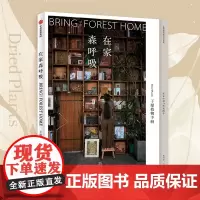 在家森呼吸 干燥植物手册 茹茹萍著 用大地色系自然质朴的干燥植物 打造高级的家居风格 养花书籍 中信书