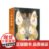 小狼豪威系列(全4册)