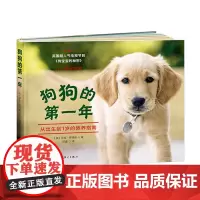 狗狗的一年——从出生到1岁的教养指南