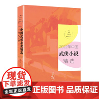 2022年中国武侠小说精选(2022中国年选系列)