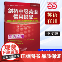 [ 正版书籍]外研社 剑桥中级英语惯用搭配(剑桥英语在用English in Use丛书)(中文版)