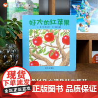好大的红苹果(0-3岁) 信谊宝宝起步走 (这本书让宝宝慢慢地掌握了苹果的概念、也初步接触了时间、数量和颜色)