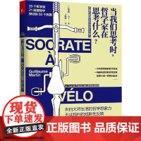 当我们思考时,哲学家在思考什么? 纪尧姆 马丁,凤凰联动 出品 江苏凤凰文艺出版社 正版书籍