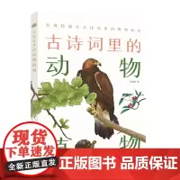 古诗词里的动物植物(古诗词里的博物志) 石润宏 中华书局 正版书籍