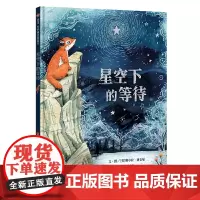 信谊世界精选图画书-星空下的等待