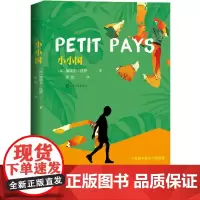 小小国(2016年龚古尔中学生奖) (童年,带给我们无尽的温柔和挥之不 加埃尔?法伊 人民文学出版社 正版书籍