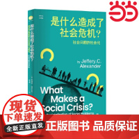 是什么造成了社会危机?——社会问题的社会化(思库文 杰弗里·亚历山大 著 陈雪梅 译 江苏人民出版社 正版书籍