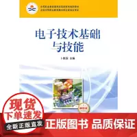 电子技术基础与技能(电子信息类)(单色版)