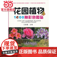 花园植物1000种彩色图鉴.9787503872228中国林业出版社
