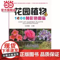 花园植物1000种彩色图鉴.9787503872228中国林业出版社