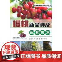 樱桃新品种及配套技术