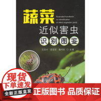 蔬菜近似害虫识别图鉴