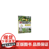 梨新品种及配套技术