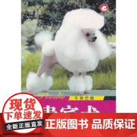 千娇百媚贵宾犬/世界名犬系列