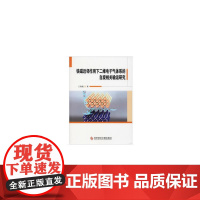 铁磁近邻作用下二维电子气体系的自旋相关输运研究