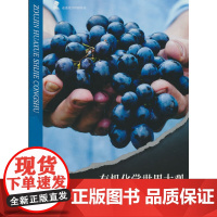 走进化学世界丛书 有机化学世界大观 三年级四年级课外阅读赏析五年级六年级6-15岁少儿趣味故事读物书中小学生语文课外阅读