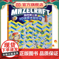 我的第一本3D迷宫大冒险书:高级篇